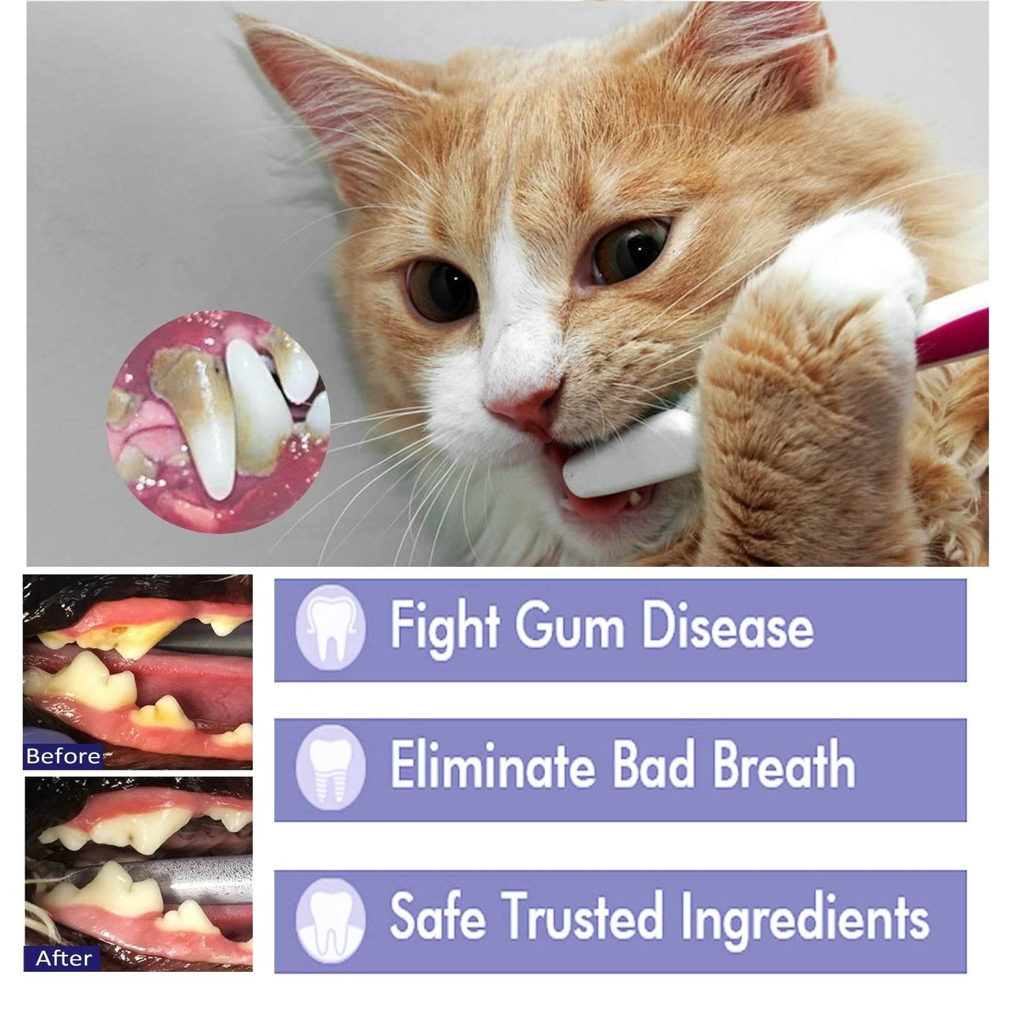 Pet Mouth Cleaning Cream For Cats And Dogs Bad Breath - Estalios