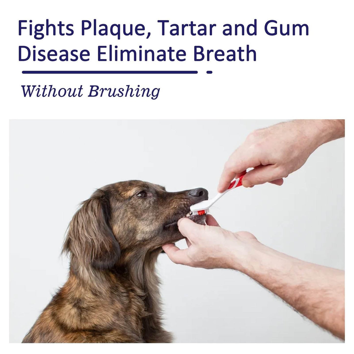 Pet Mouth Cleaning Cream For Cats And Dogs Bad Breath - Estalios