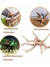 Driftwood for pet habitats.