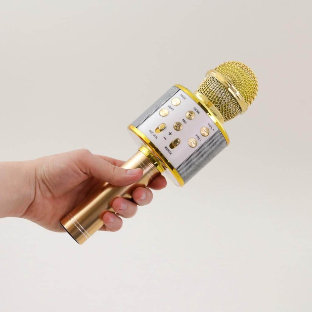 Wireless Karaoke Microphone for Fun Singing Anywhere - Estalios
