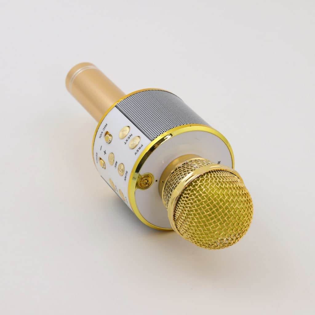 Wireless Karaoke Microphone for Fun Singing Anywhere - Estalios