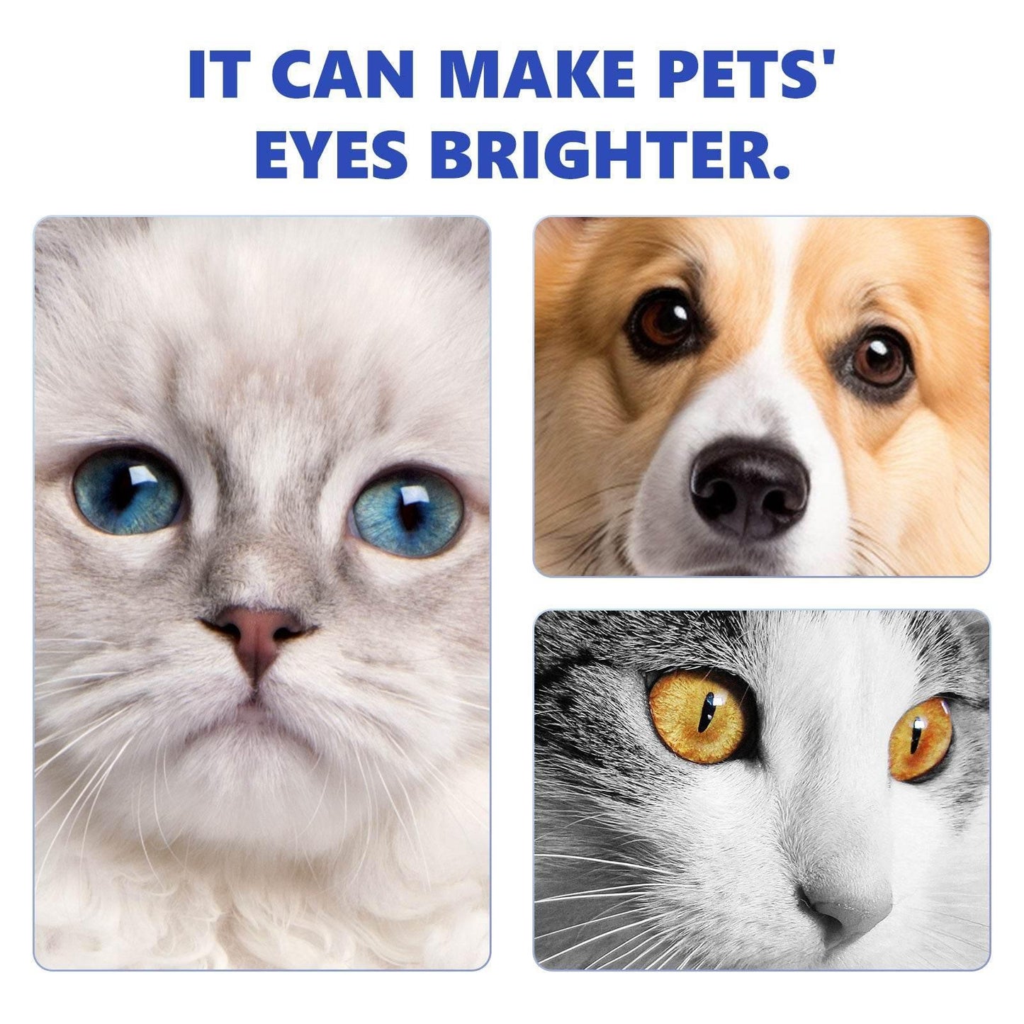 Pet Eye Drops For Cats And Dogs Eye Cleaning Care - Estalios
