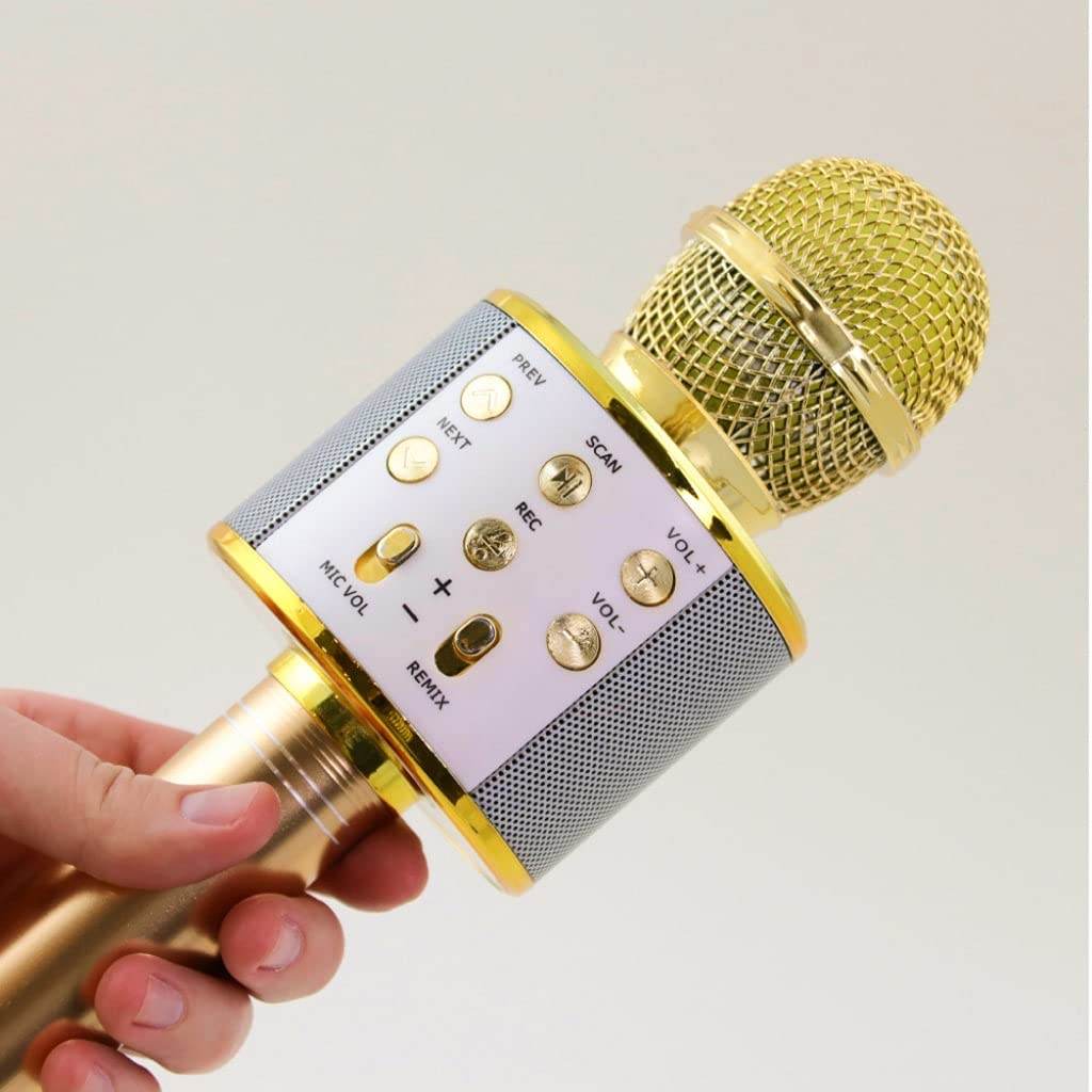 Wireless Karaoke Microphone for Fun Singing Anywhere - Estalios
