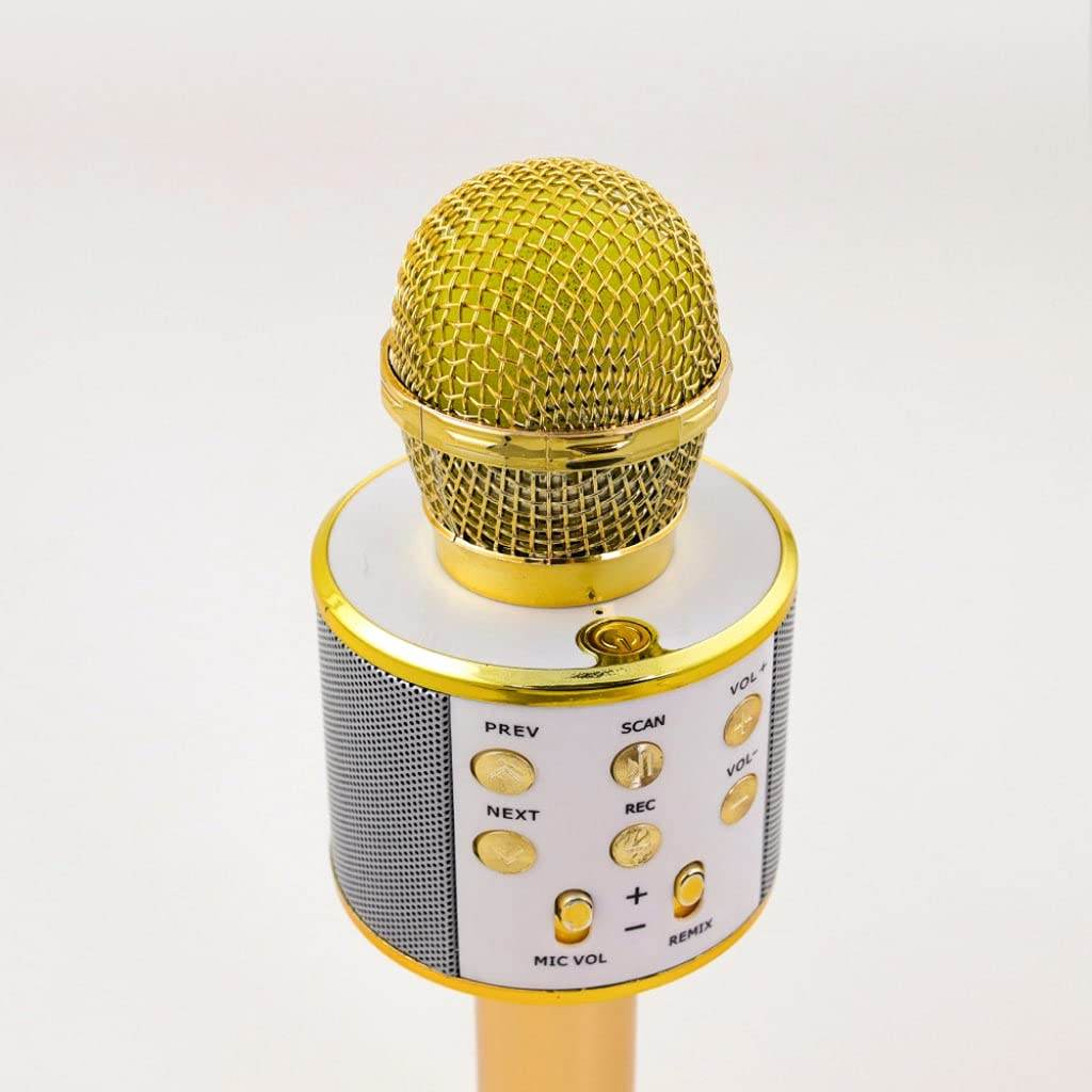 Wireless Karaoke Microphone for Fun Singing Anywhere - Estalios