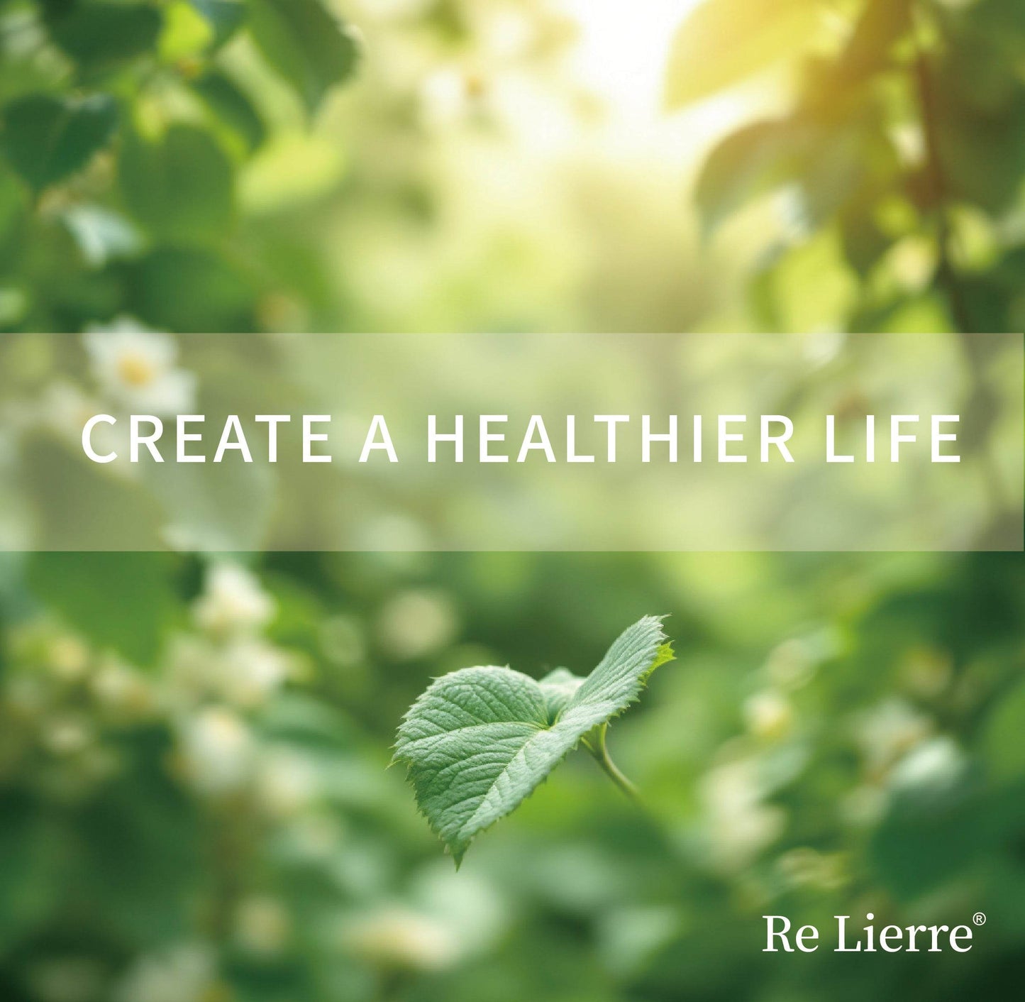 Re Lierre 3-in-1 Nasal Bar for Clear, Comfortable Breathing - Estalios