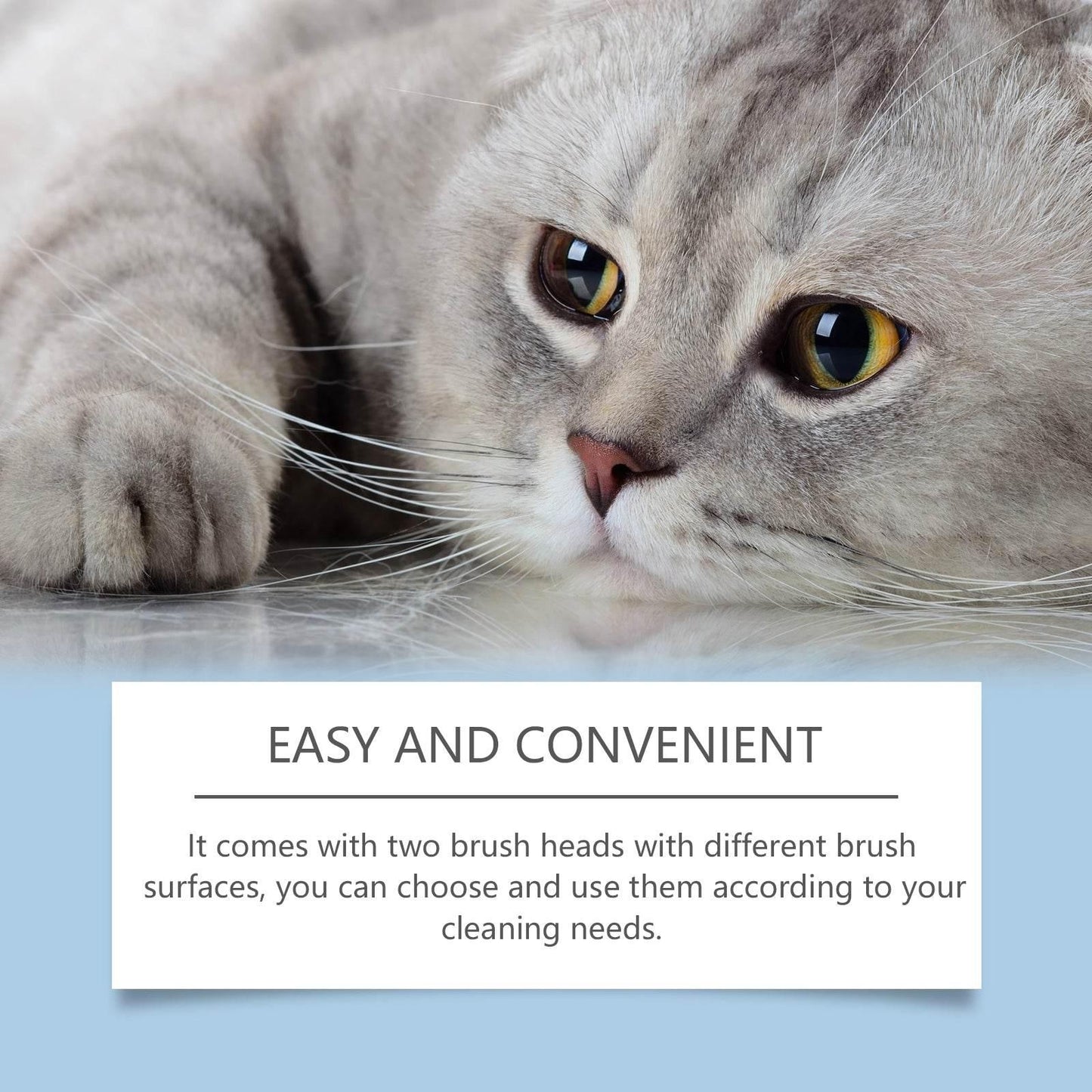 Pet Oral Care Set Gentle Cleaning Solution For Cats And Dogs - Estalios