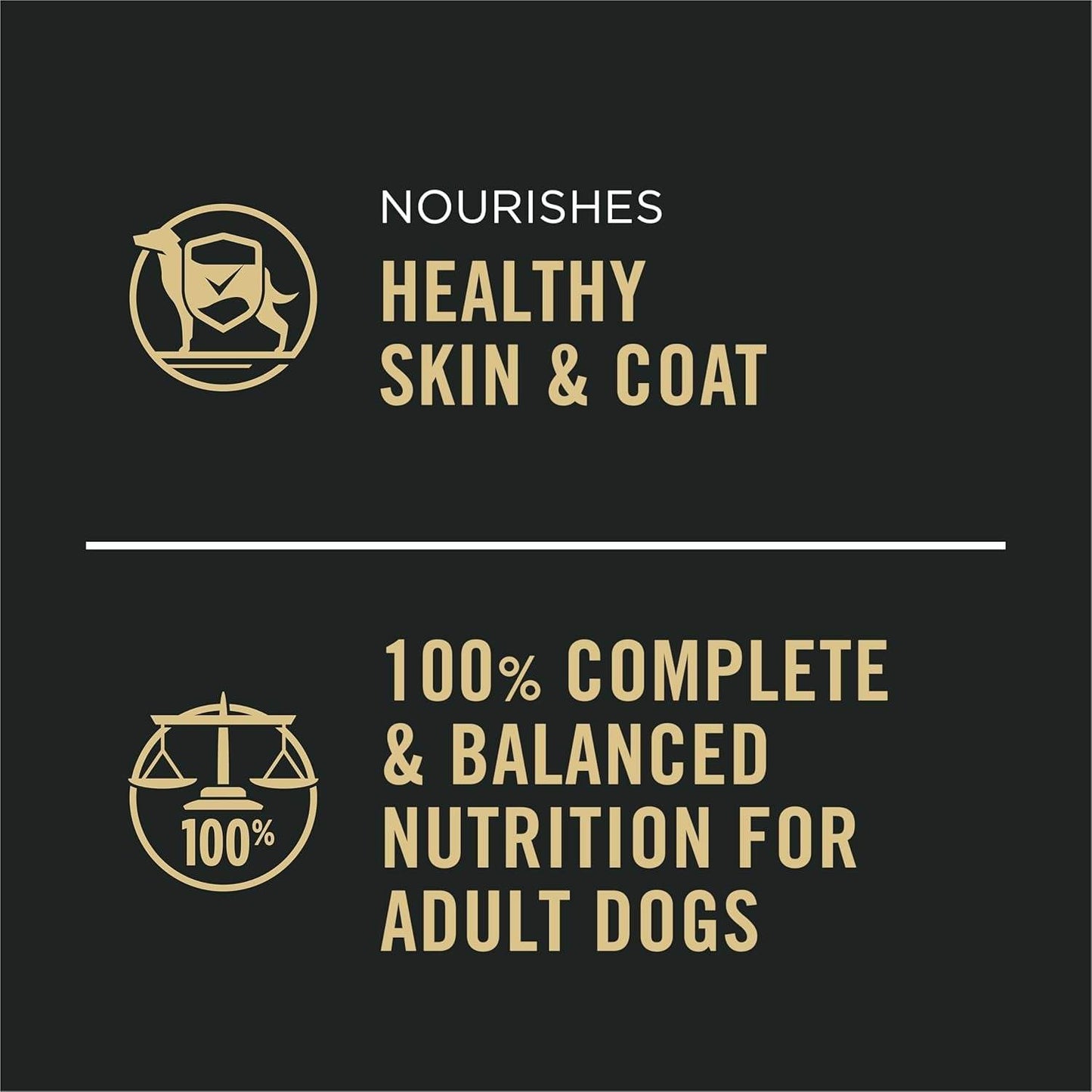 Complete Essentials Beef and Vegetables Wet Dog Food Gravy - Estalios
