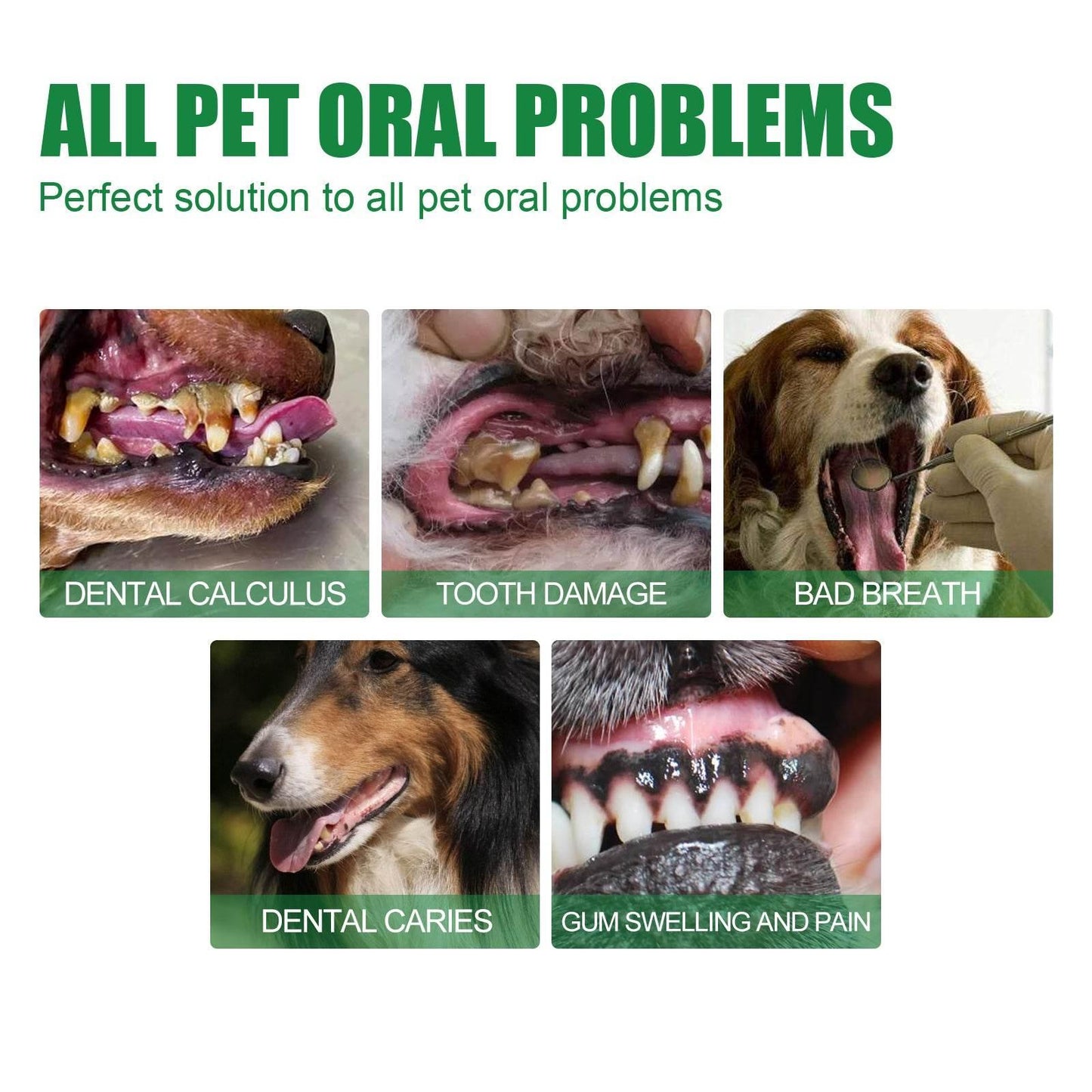 Pet Breath Deodorizer Spray For Cats And Dogs - Estalios