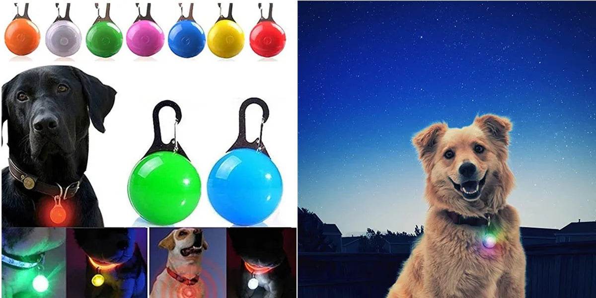LED Luminous Dog Collar Waterproof USB Light for Night Safety - Estalios