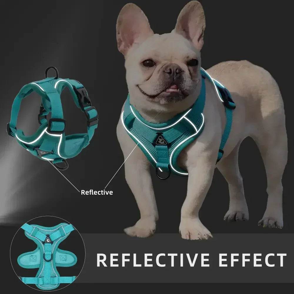 No Pull Dog Harness and Leash Set for Small Dogs Cats - Estalios