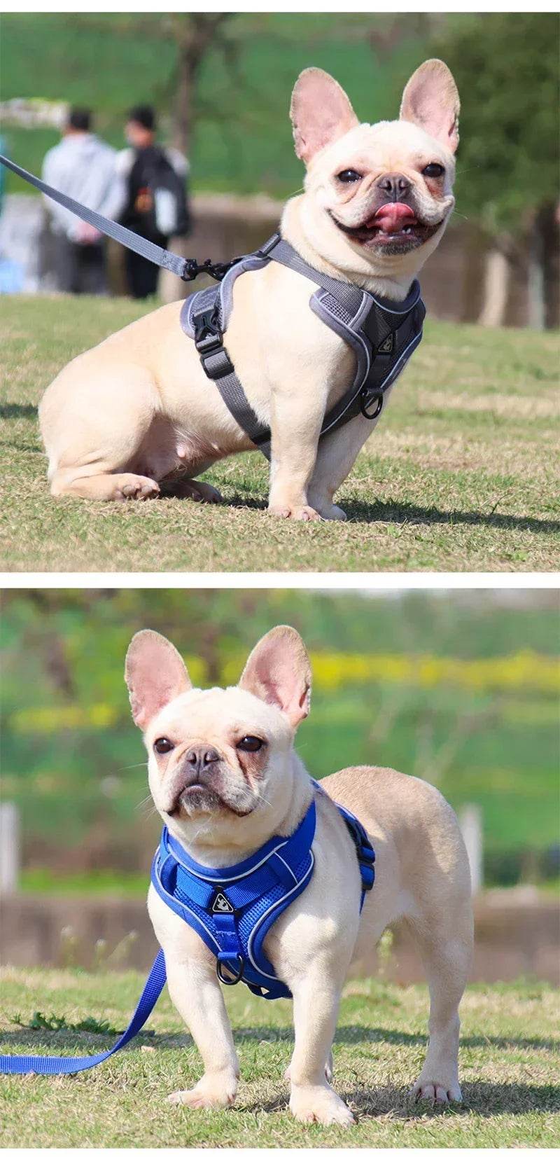 No Pull Dog Harness and Leash Set for Small Dogs Cats - Estalios