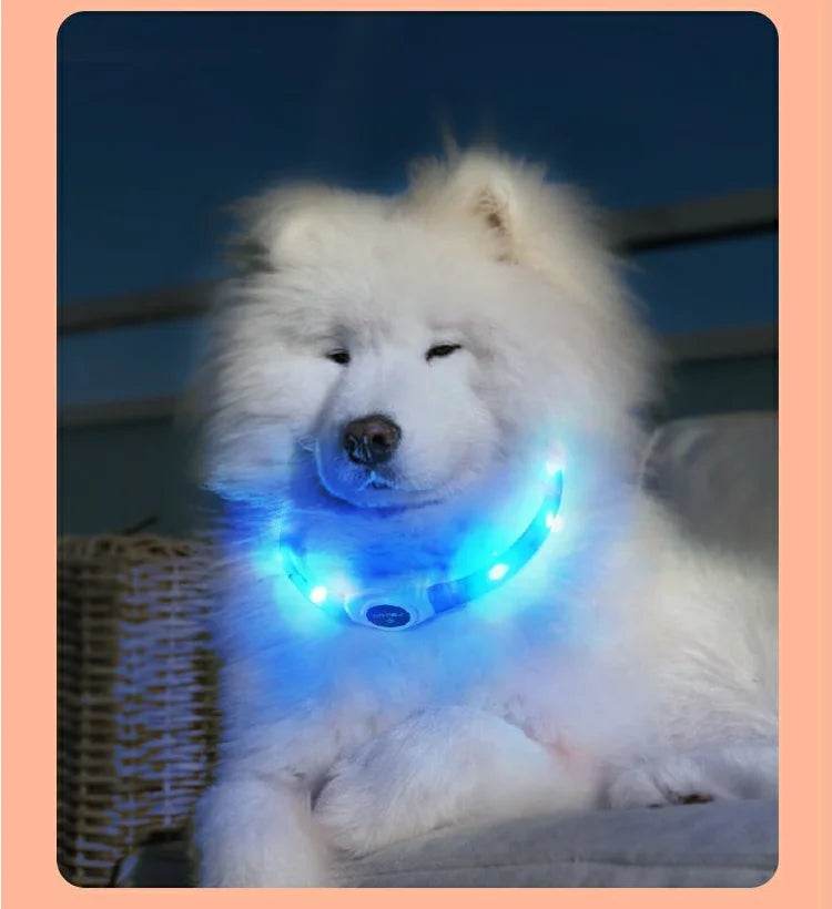 LED Luminous Dog Collar Waterproof USB Light for Night Safety - Estalios