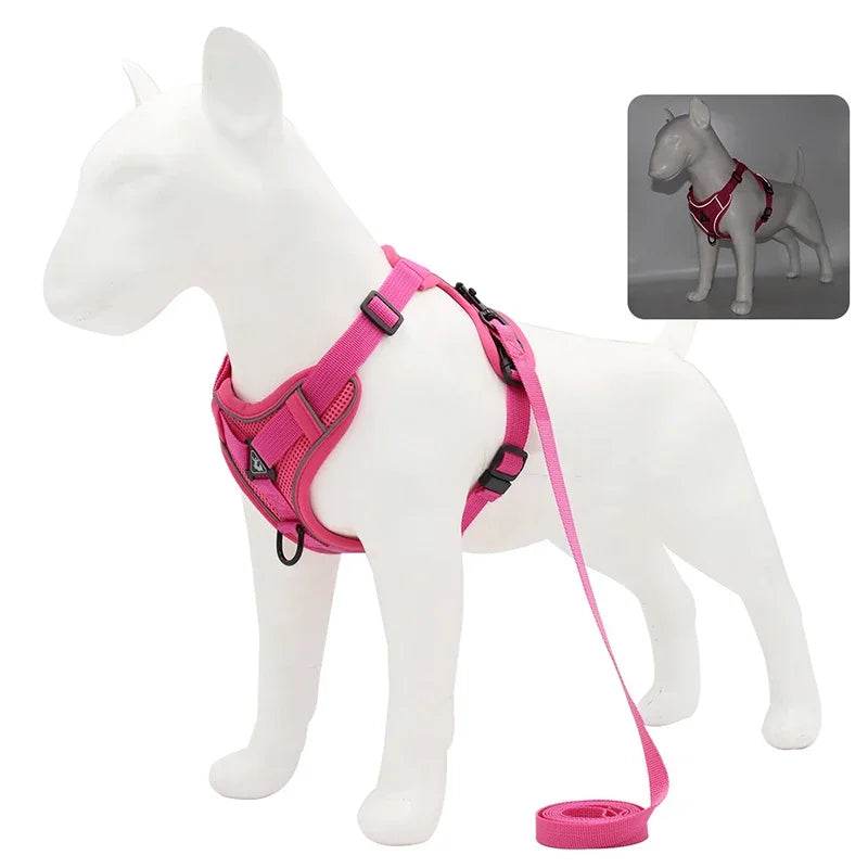 No Pull Dog Harness and Leash Set for Small Dogs Cats - Estalios