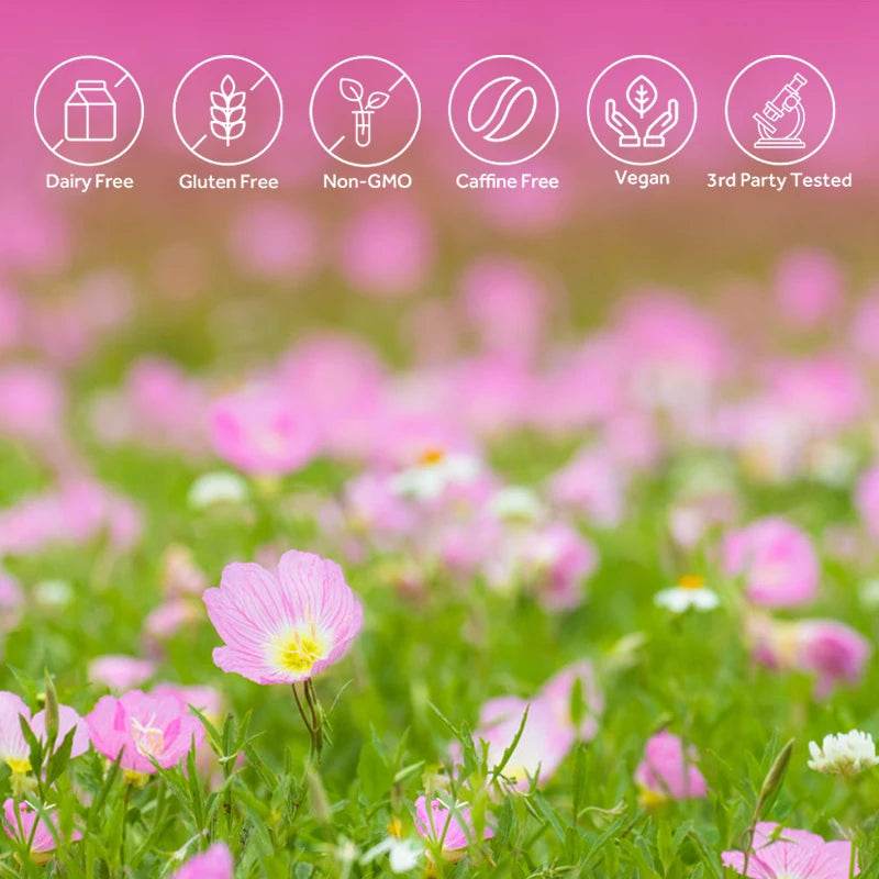 Evening Primrose Oil Supplement Capsules for Healthy Skin - Estalios