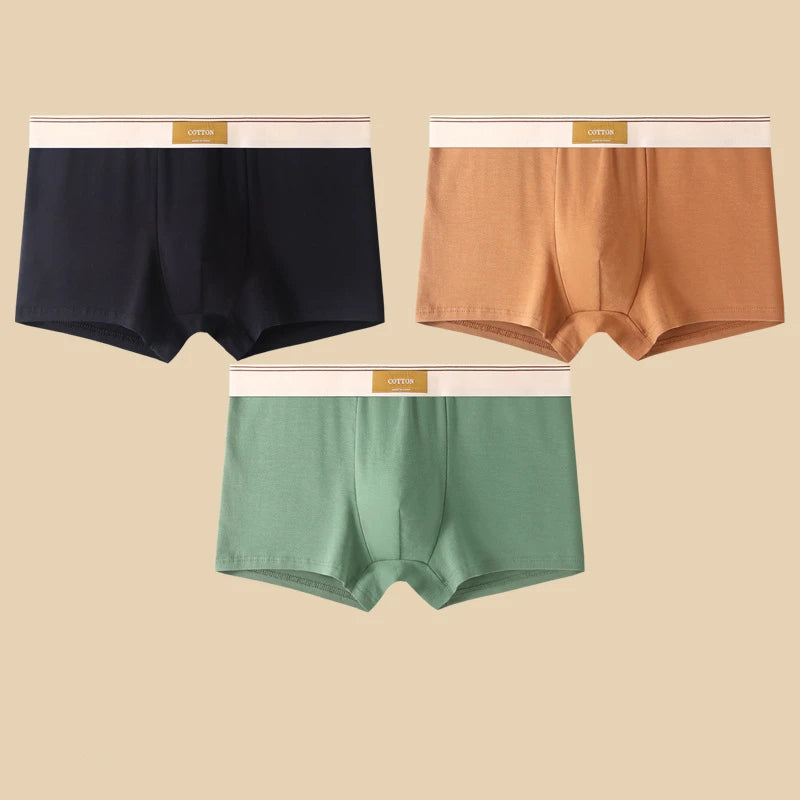 Comfortable 3Pcs Men's Cotton Boxer Shorts Underwear