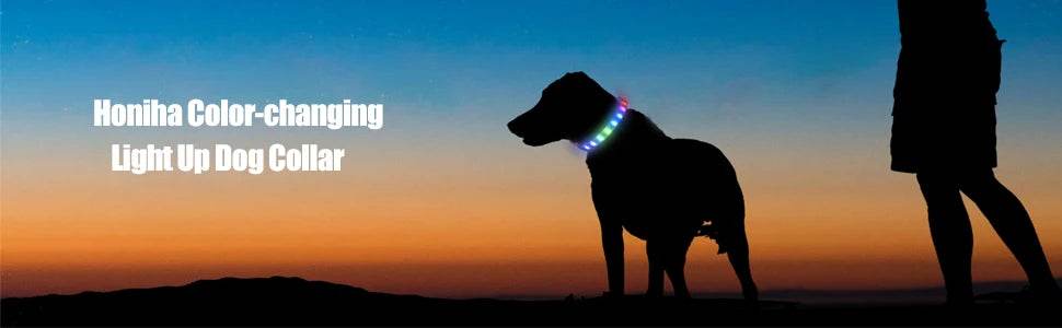 LED Luminous Dog Collar Waterproof USB Light for Night Safety - Estalios