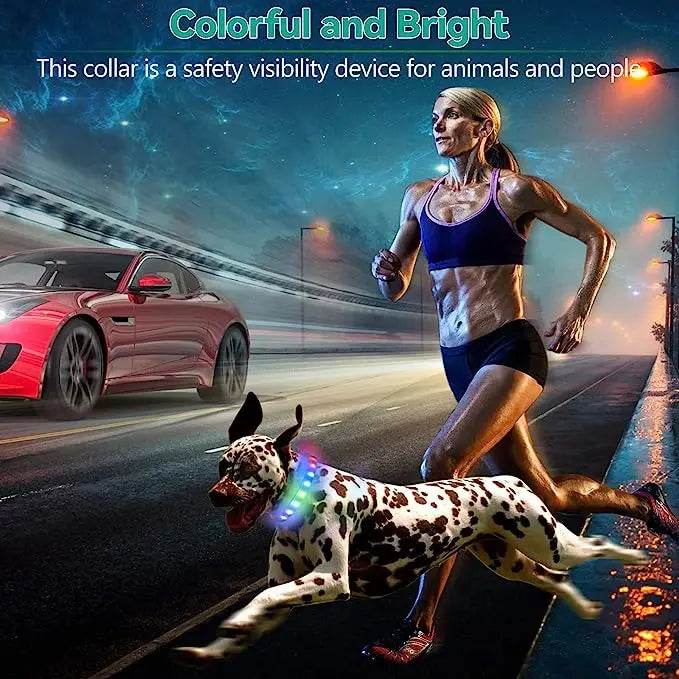 LED Luminous Dog Collar Waterproof USB Light for Night Safety - Estalios