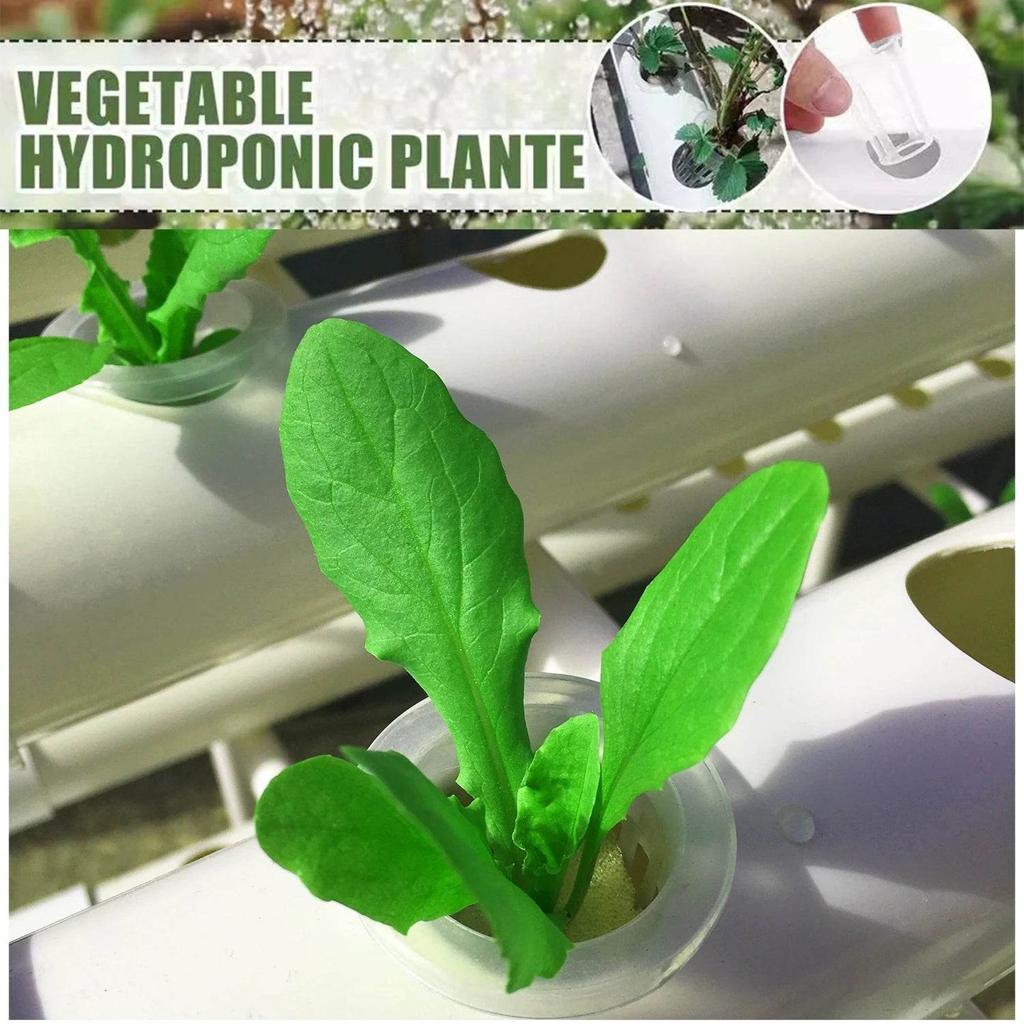 Hydroponics Growing System Kit for Vegetables and Herbs - Estalios