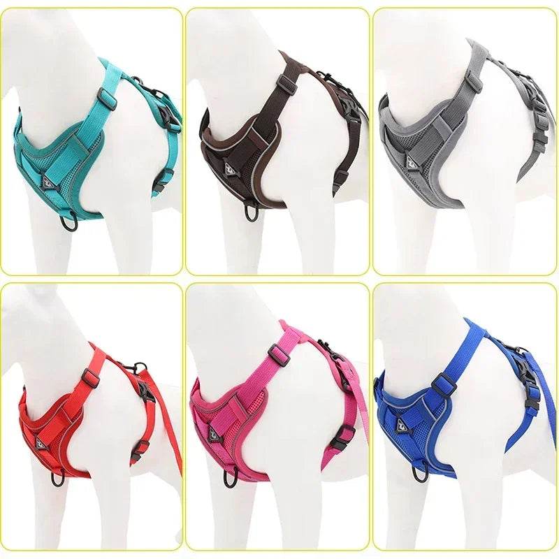 No Pull Dog Harness and Leash Set for Small Dogs Cats - Estalios