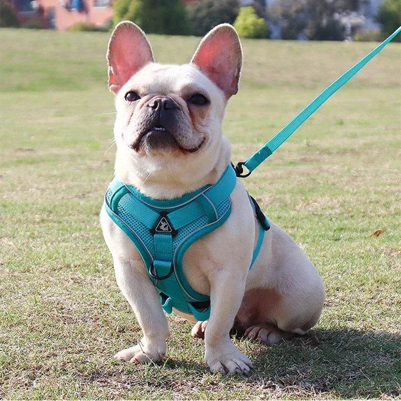 No Pull Dog Harness and Leash Set for Small Dogs Cats - Estalios