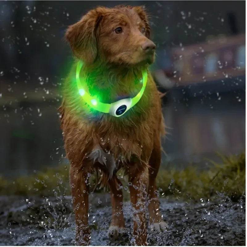 LED Luminous Dog Collar Waterproof USB Light for Night Safety - Estalios
