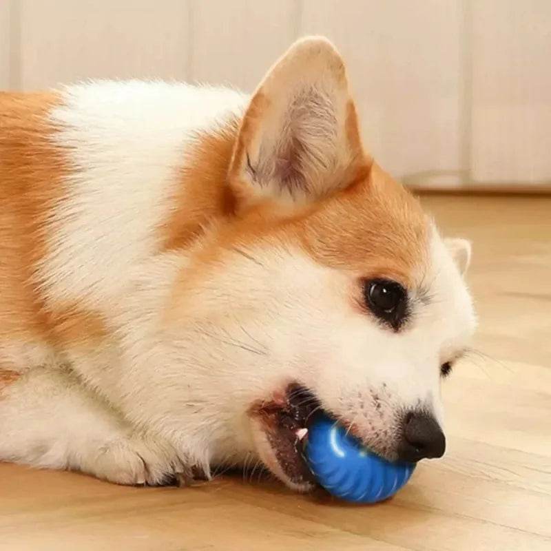 Dog Toy Ball Automatic Moving Interactive Chew Toy Ball - Estalios