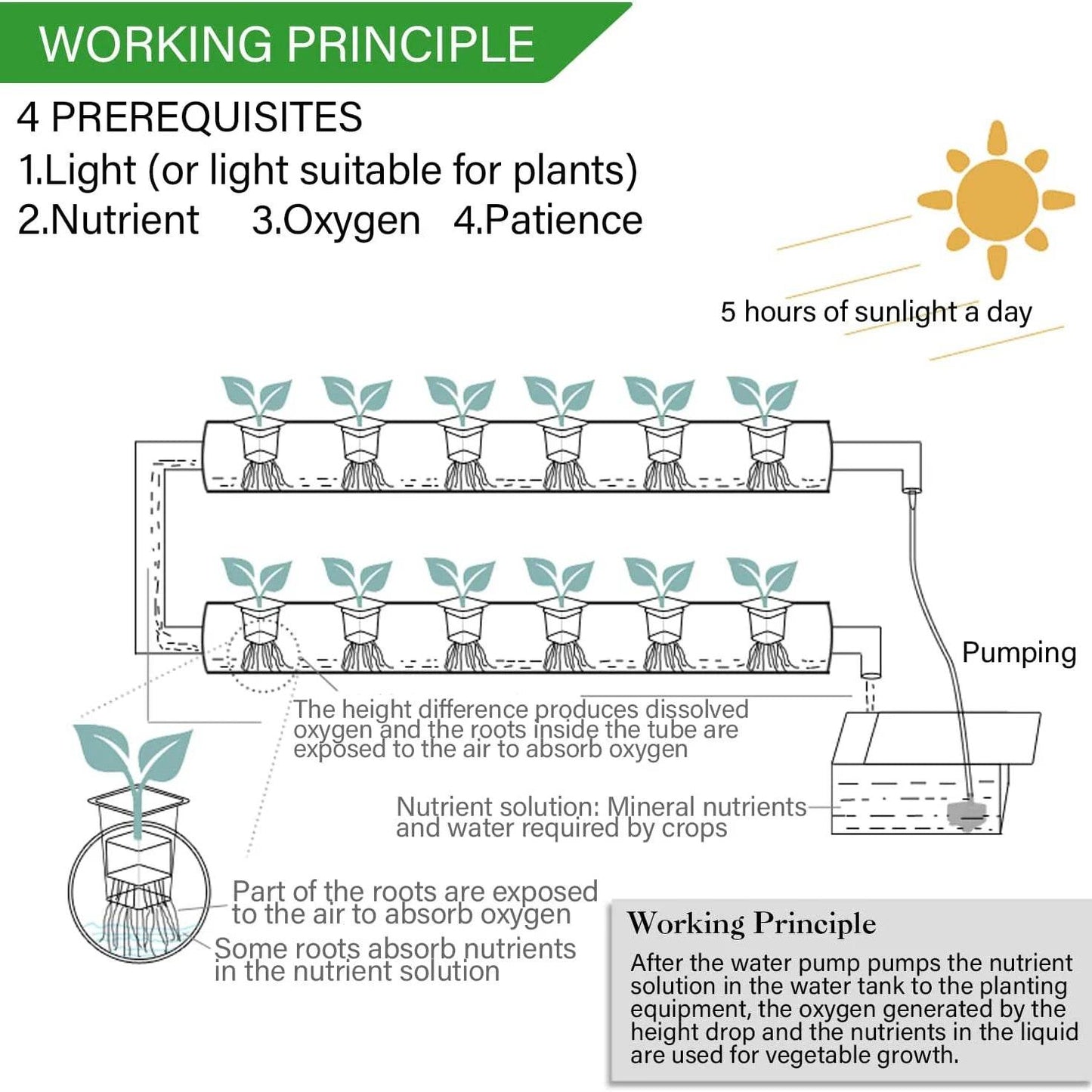 Hydroponics Growing System Kit for Vegetables and Herbs - Estalios