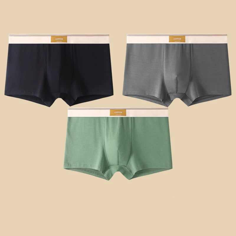 Comfortable 3Pcs Men's Cotton Boxer Shorts Underwear