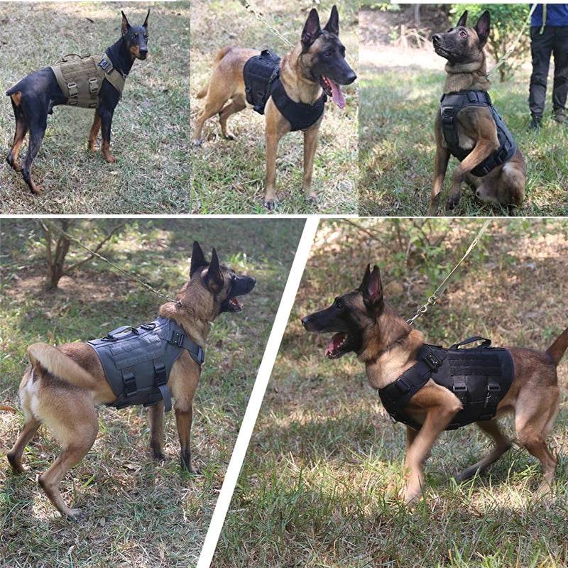 Tactical Military Dog Vest Harness and Leash Set for All Breeds - Estalios