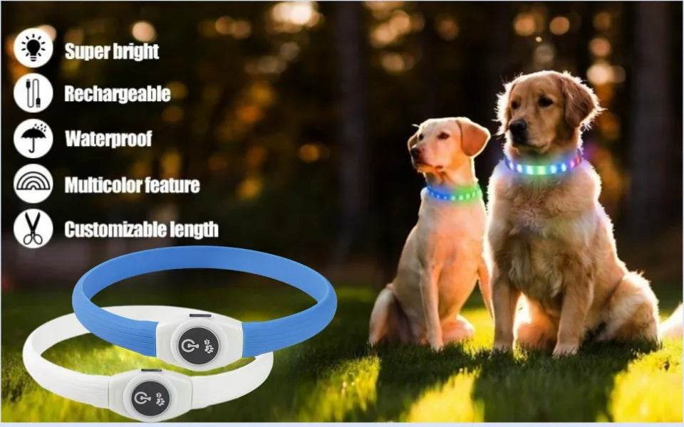 LED Luminous Dog Collar Waterproof USB Light for Night Safety - Estalios