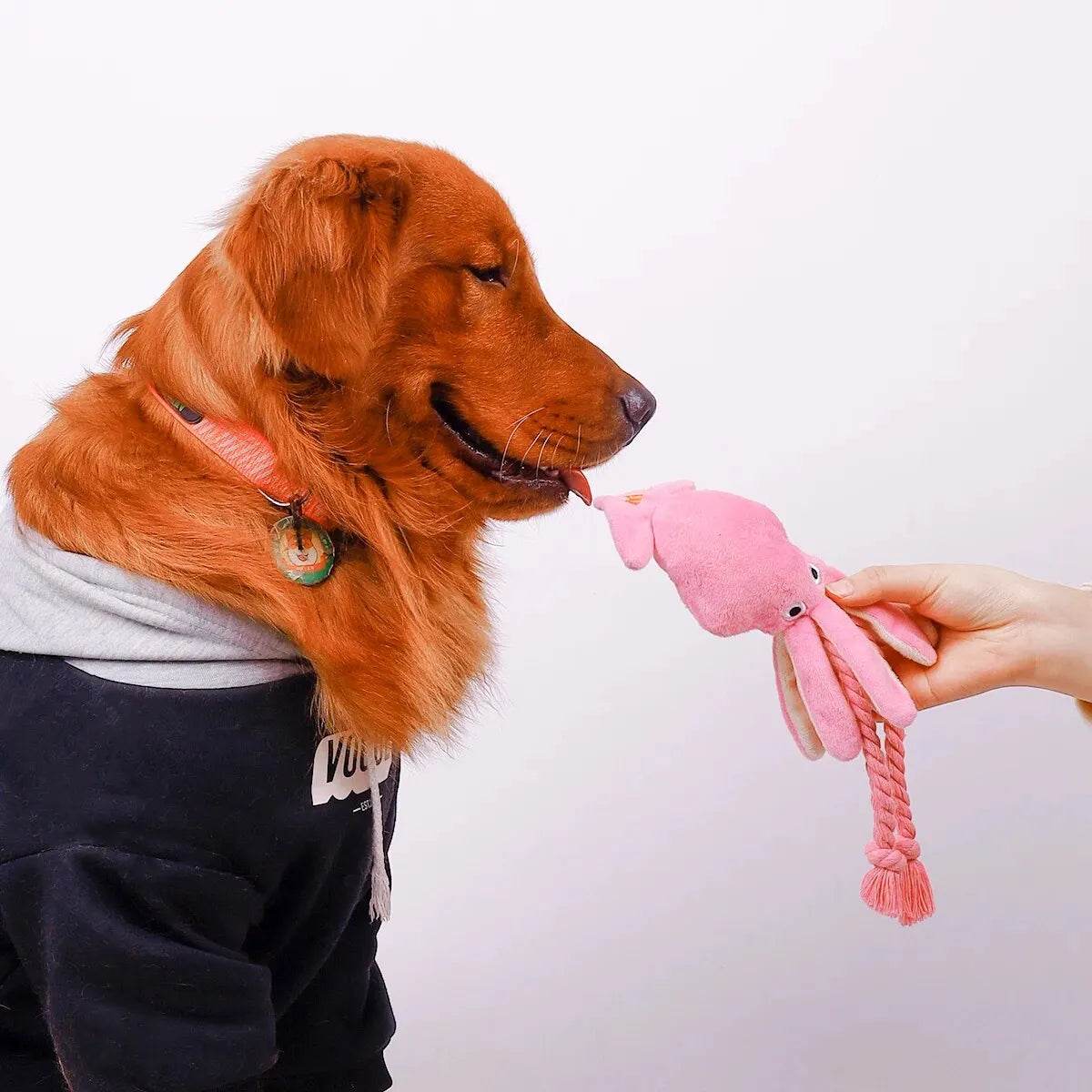 Bite-Resistant Plush Octopus Dog Toy for Fun Playtime - Estalios