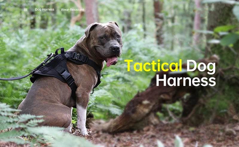 Tactical Military Dog Vest Harness and Leash Set for All Breeds - Estalios