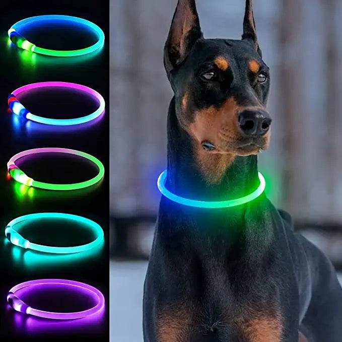 LED Luminous Dog Collar Waterproof USB Light for Night Safety - Estalios