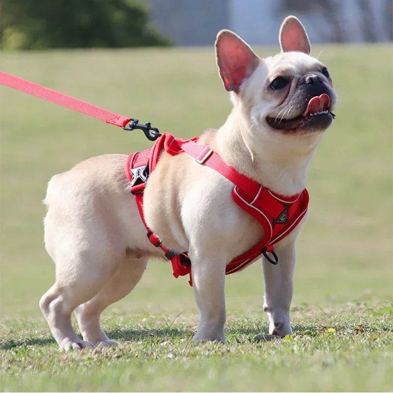 No Pull Dog Harness and Leash Set for Small Dogs Cats - Estalios