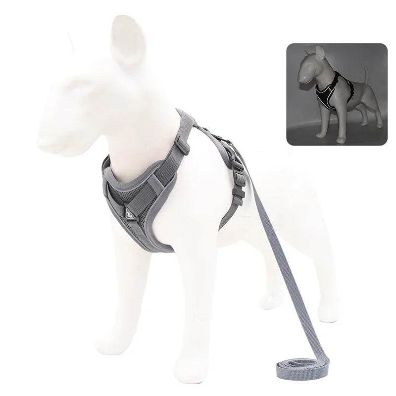 No Pull Dog Harness and Leash Set for Small Dogs Cats - Estalios