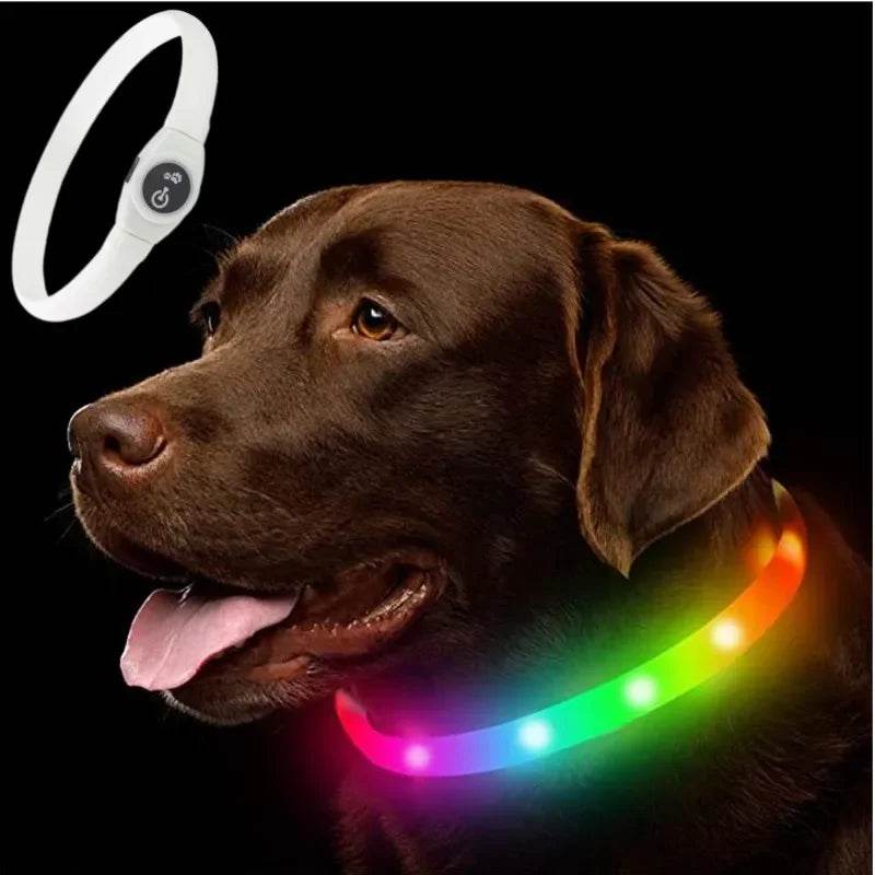 LED Luminous Dog Collar Waterproof USB Light for Night Safety - Estalios
