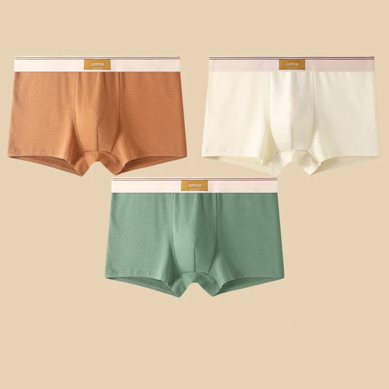Comfortable 3Pcs Men's Cotton Boxer Shorts Underwear