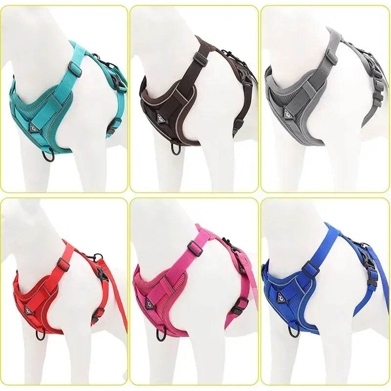 No Pull Dog Harness and Leash Set for Small Dogs Cats - Estalios