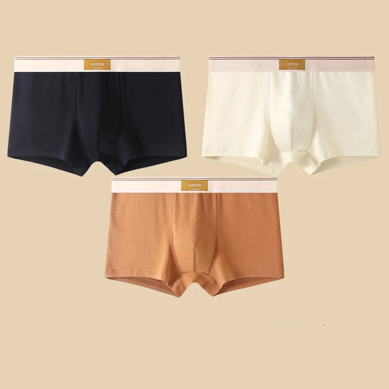 Comfortable 3Pcs Men's Cotton Boxer Shorts Underwear