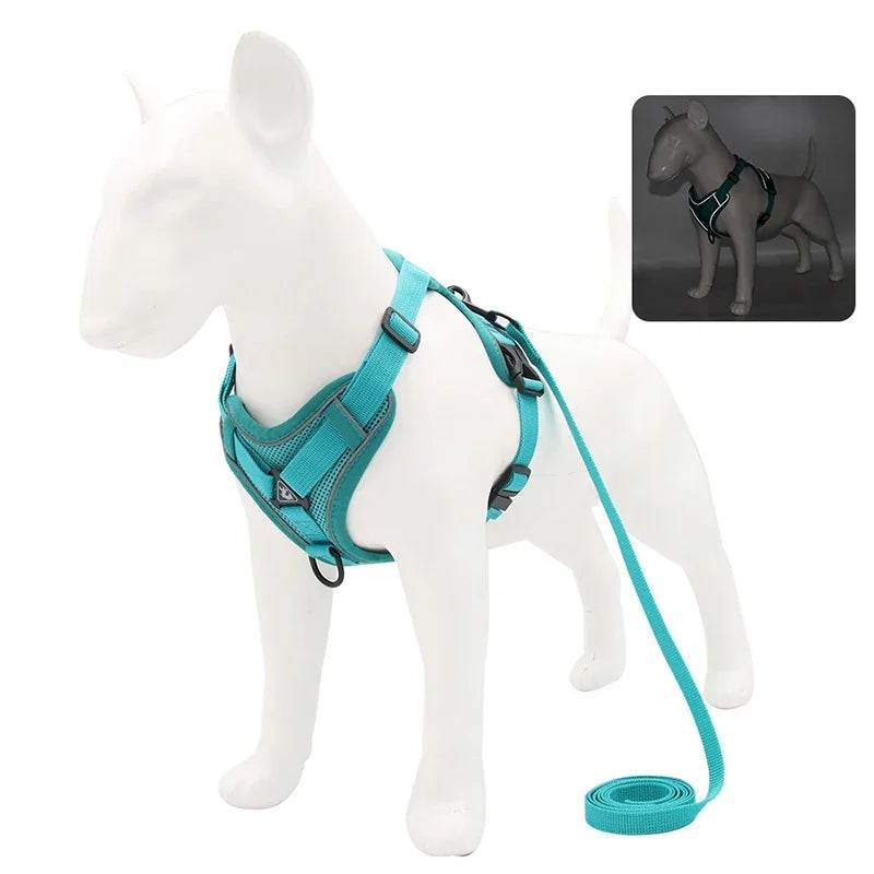 No Pull Dog Harness and Leash Set for Small Dogs Cats - Estalios