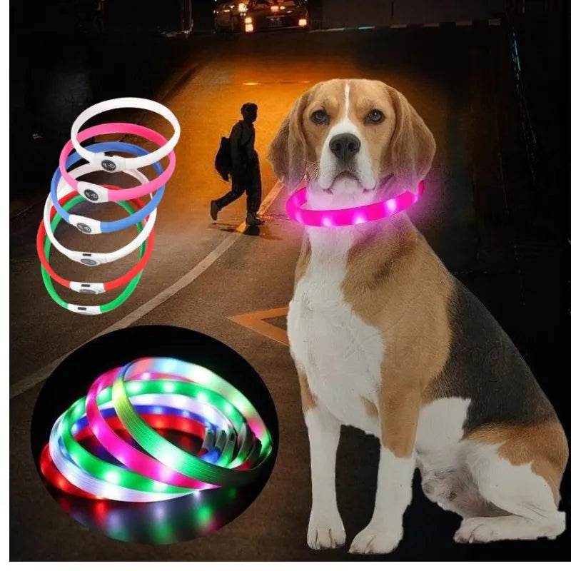 LED Luminous Dog Collar Waterproof USB Light for Night Safety - Estalios