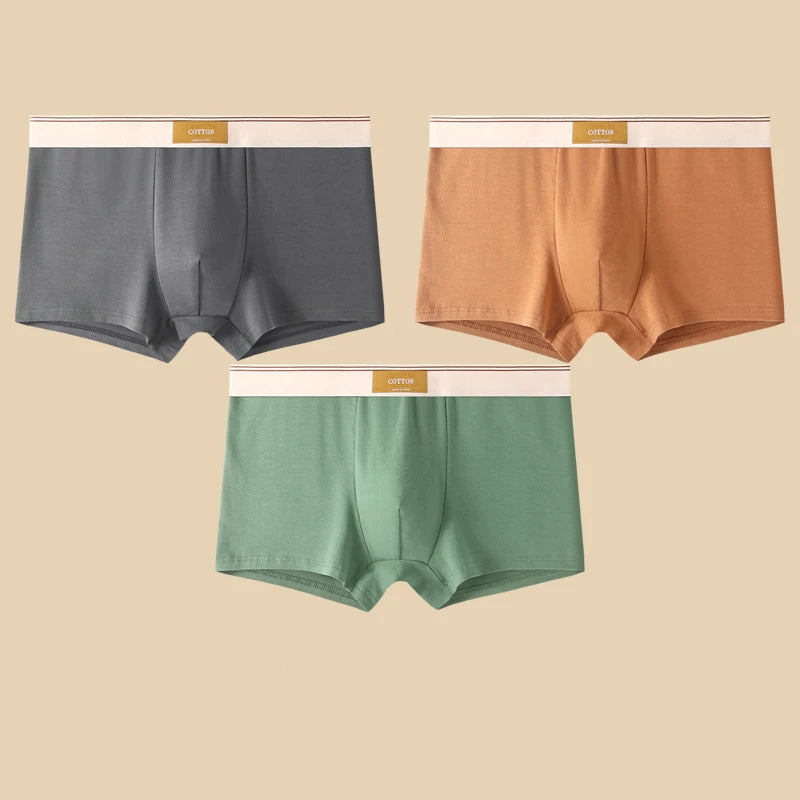 Comfortable 3Pcs Men's Cotton Boxer Shorts Underwear