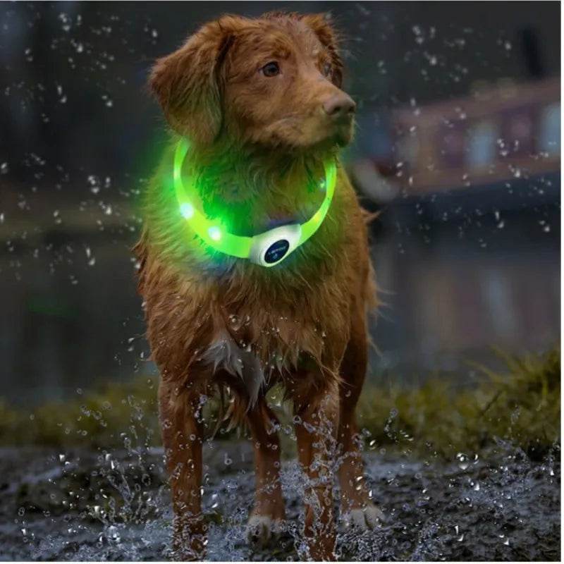 LED Luminous Dog Collar Waterproof USB Light for Night Safety - Estalios