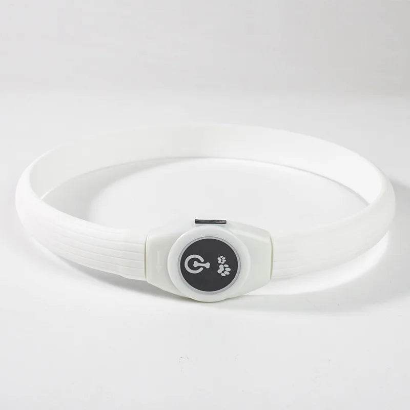 LED Luminous Dog Collar Waterproof USB Light for Night Safety - Estalios