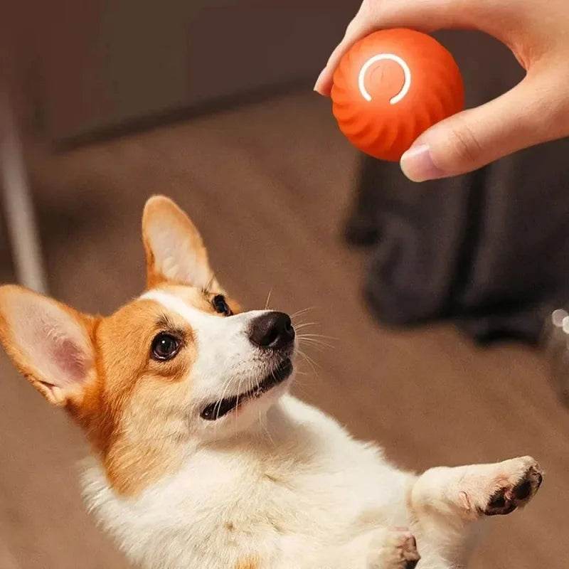 Dog Toy Ball Automatic Moving Interactive Chew Toy Ball - Estalios