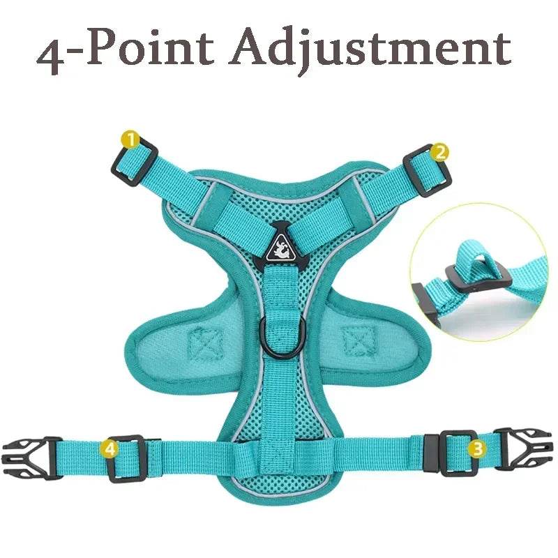 No Pull Dog Harness and Leash Set for Small Dogs Cats - Estalios