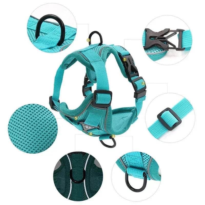 No Pull Dog Harness and Leash Set for Small Dogs Cats - Estalios