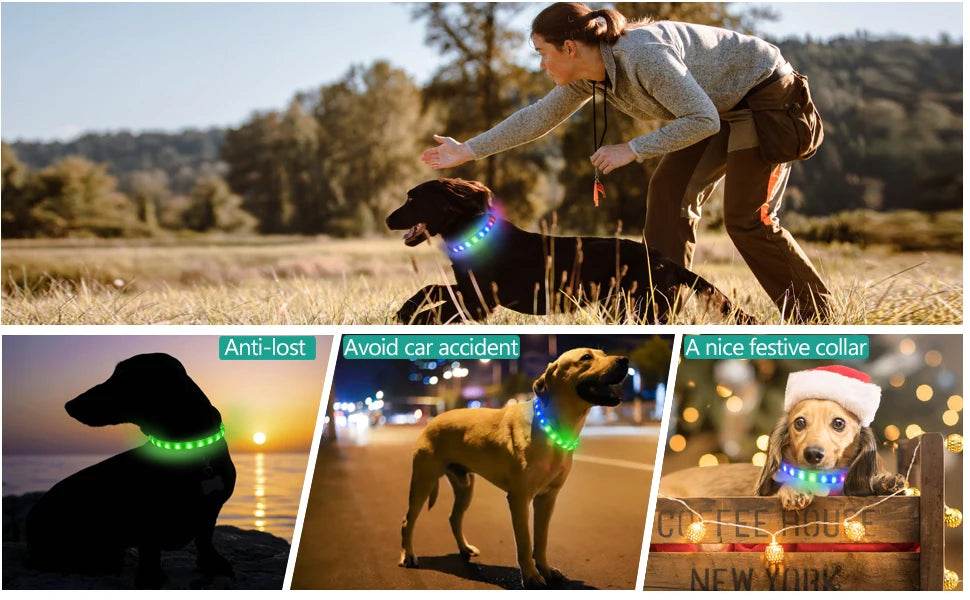LED Luminous Dog Collar Waterproof USB Light for Night Safety - Estalios