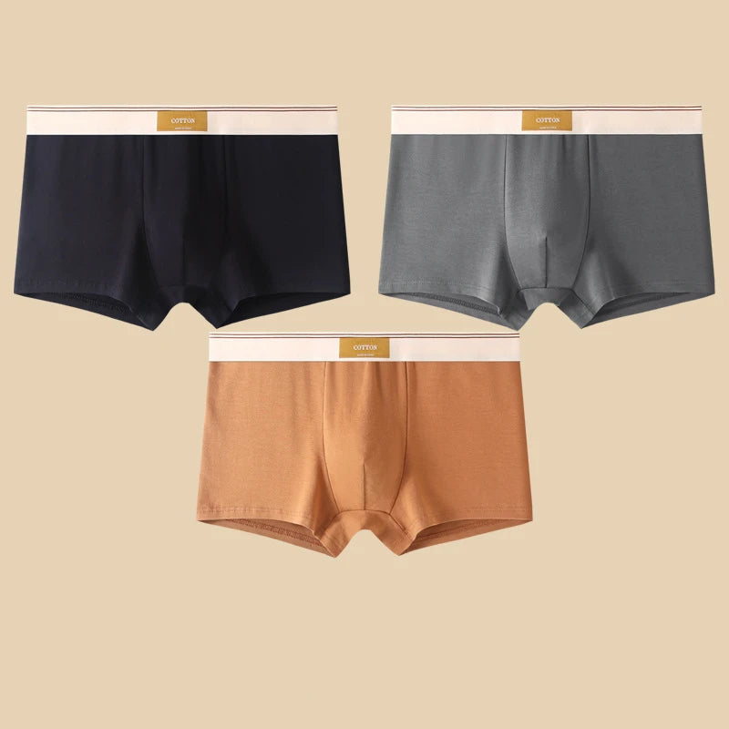 Comfortable 3Pcs Men's Cotton Boxer Shorts Underwear