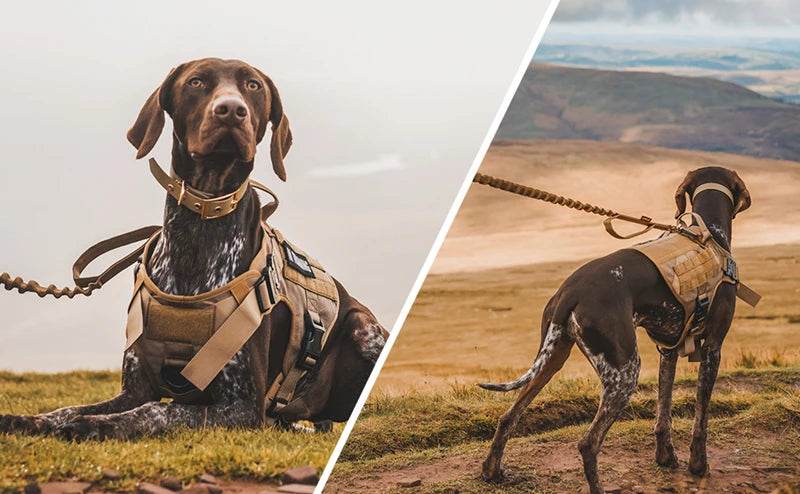 Tactical Military Dog Vest Harness and Leash Set for All Breeds - Estalios